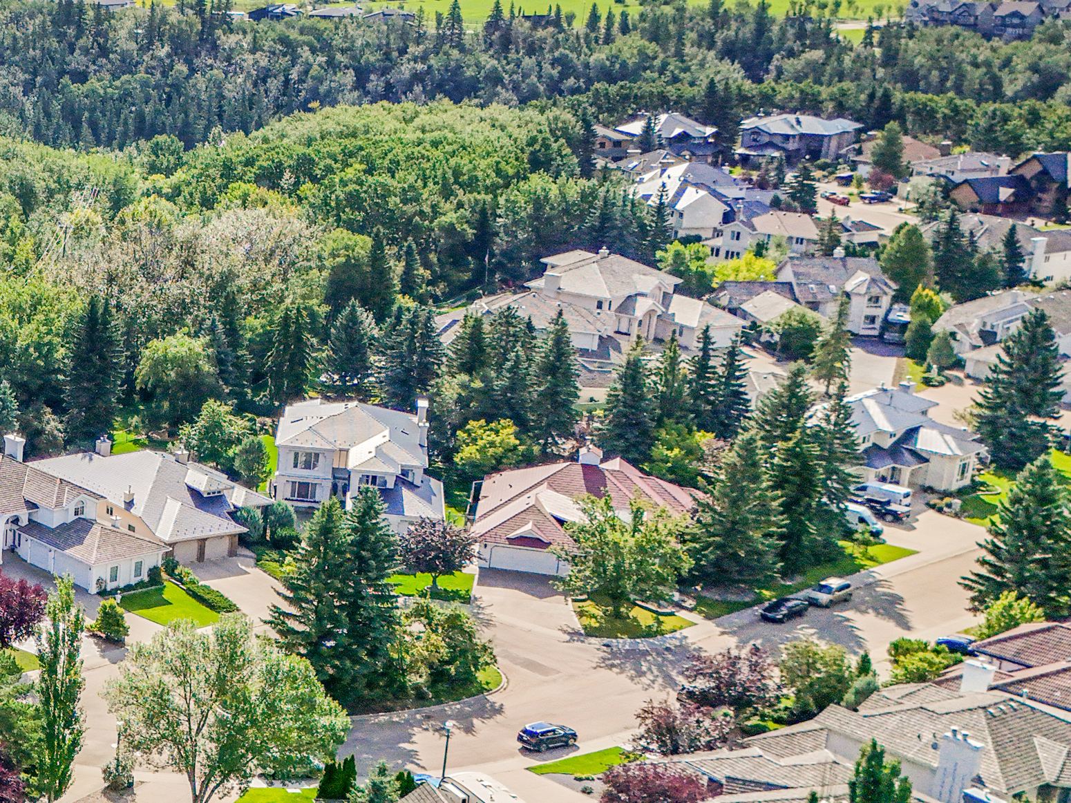 Aerial view along the neighbouring streets — large homes on wide, mature, treed lots against the ravine.