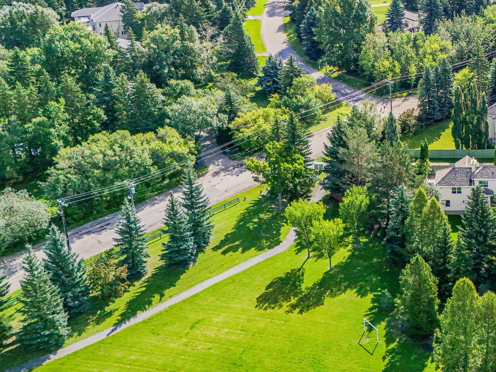 Aerial view of the street running between the treed ravine on one side and open parkland on the other.
