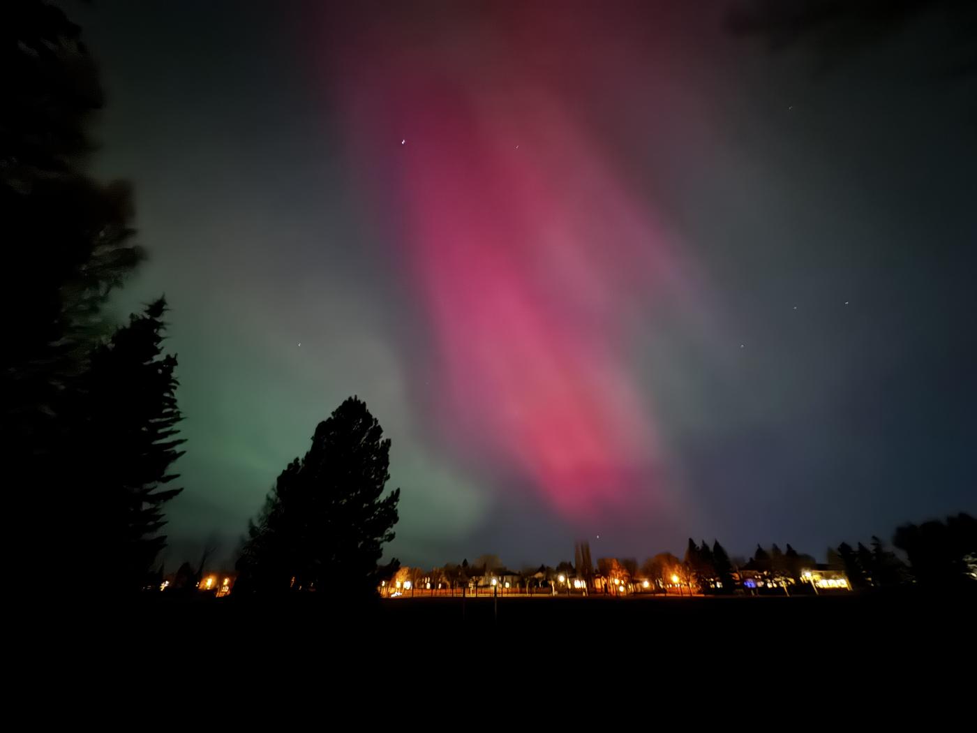 Northern lights in pink and green over the trees and open parkland beside the neighbourhood.
