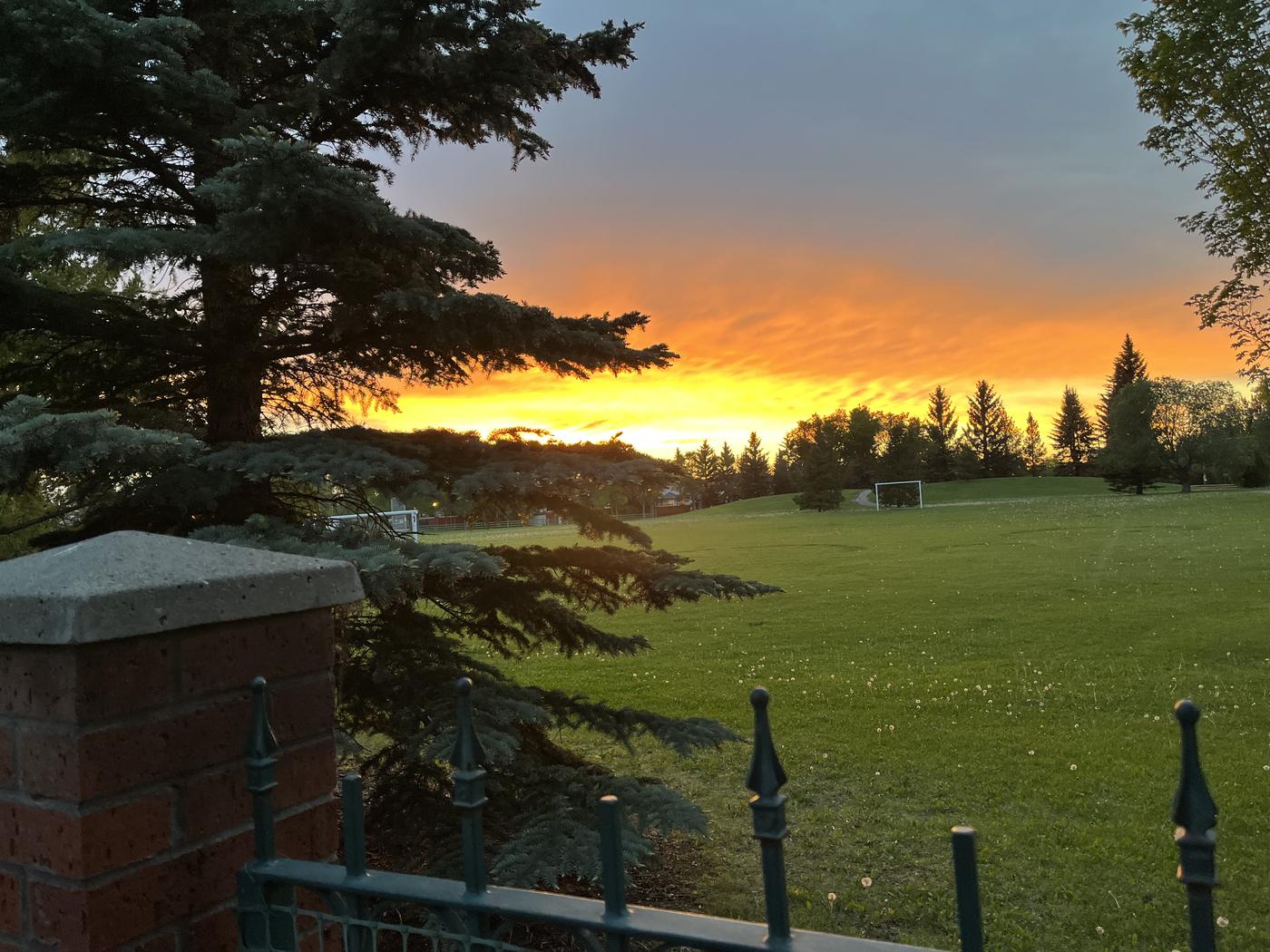 Sunset over the open green space behind the property, seen through the trees.